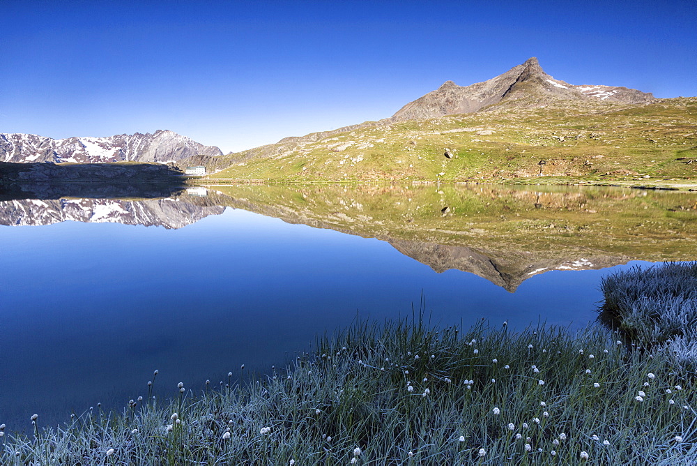 Mountain peaks reflected in Lago Bianco, Gavia Pass, Valfurva, Valtellina, province of Sondrio, Lombardy, Italy, Europe