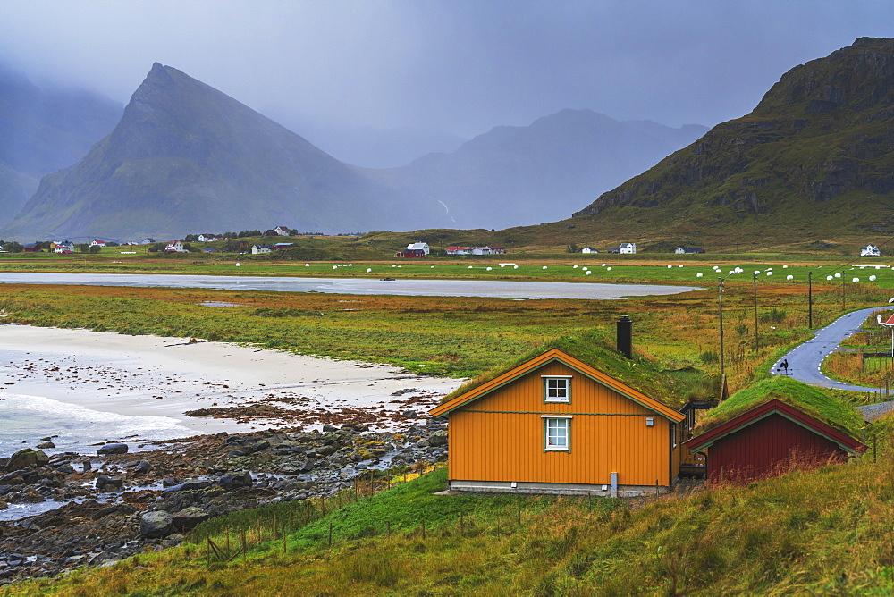 Houses with grass roof by the sea, Fredvang, Nordland county, Lofoten Islands, Norway, Europe