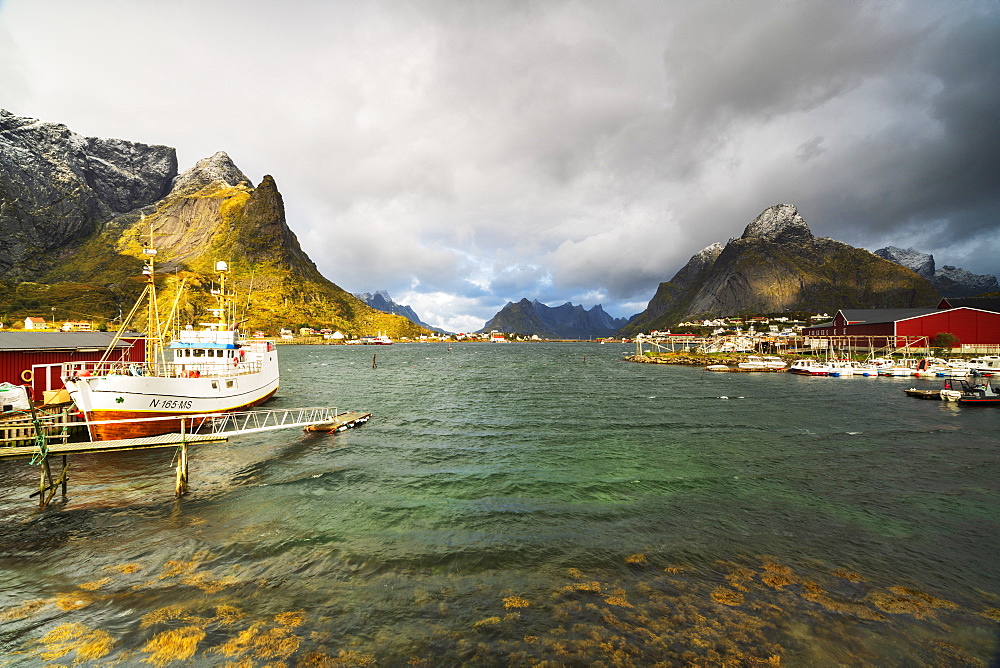 Fishing boats in the harbor, Reine, Nordland, Lofoten Islands, Norway, Europe