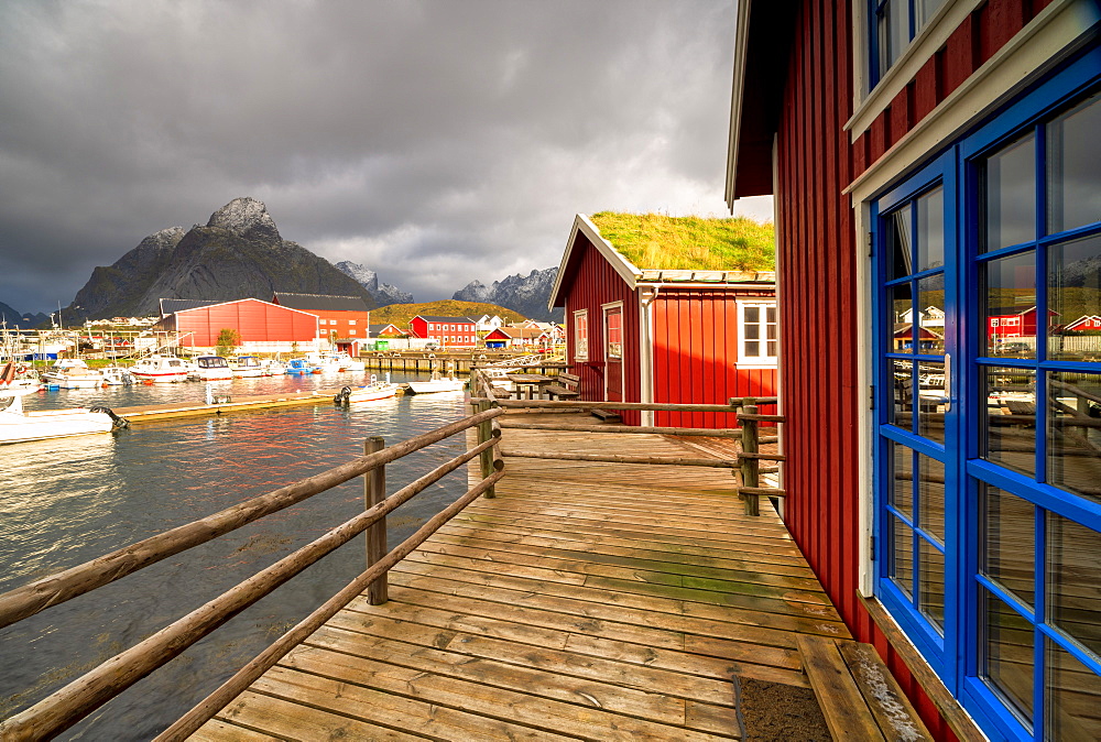 Harbor and typical fishermen's houses with grass roof, Reine, Nordland, Lofoten Islands, Norway, Europe