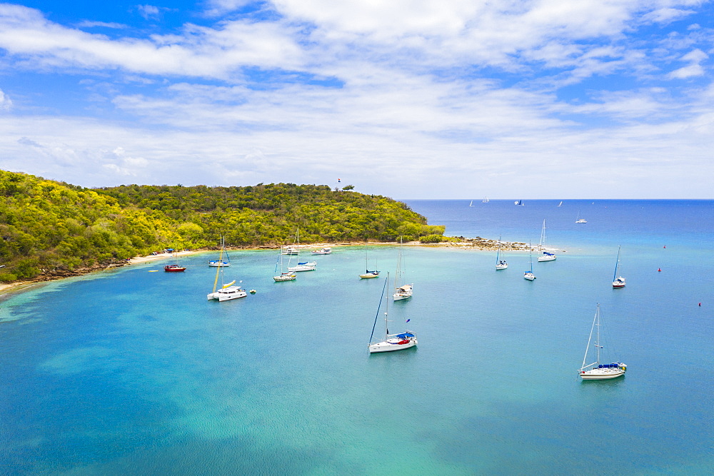 Sailboats and catamarans moored in a tropical bay, aerial view by drone, Caribbean Sea, Antilles, West Indies, Caribbean, Central America