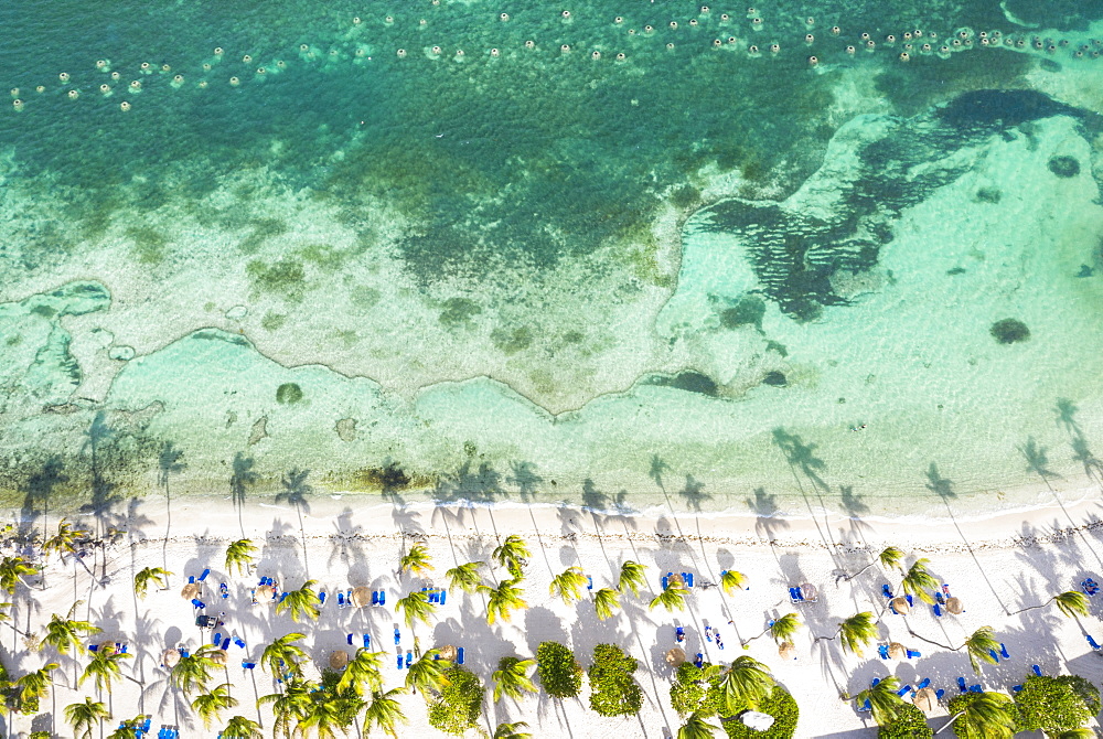 Palm-fringed beach washed by Caribbean Sea from above by drone, St. James Bay, Antigua, Leeward Islands, West Indies, Caribbean, Central America