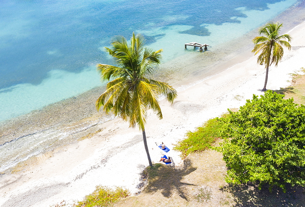 Man and woman relaxing on palm-fringed beach, aerial view by drone, Caribbean Sea, Antilles, West Indies, Caribbean, Central America