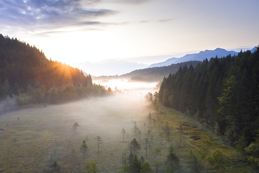 Sun rays at sunrise on fog covering the wetland of Pian di Gembro Reserve, aerial view, Aprica, Valtellina, Lombardy, Italy, Europe