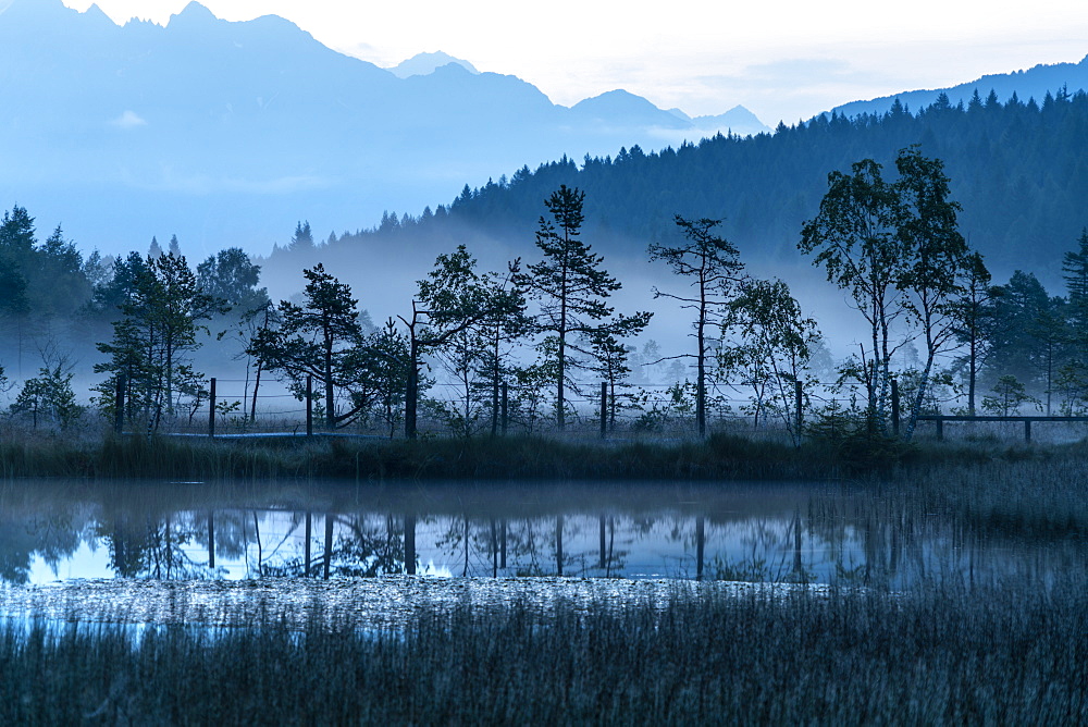 Dusk over trees mirrored in the swamp of Pian di Gembro Nature Reserve, Aprica, Sondrio province, Valtellina, Lombardy, Italy, Europe