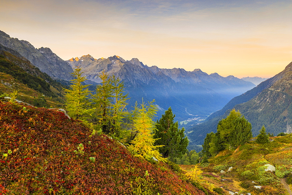 Autumnal colors lit by sunrise, Maloja Pass, Val Bregaglia, Engadine, Canton of Graubunden, Switzerland, Europe