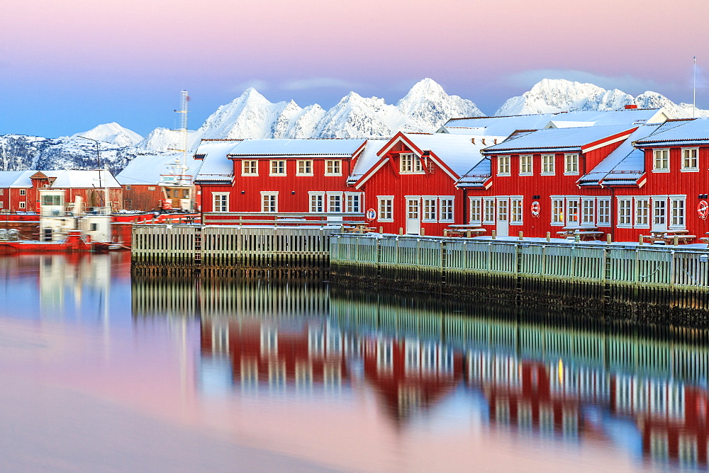 Pink sunset over the typical red houses reflected in the sea, Svolvaer, Lofoten Islands, Arctic, Norway, Scandinavia, Europe