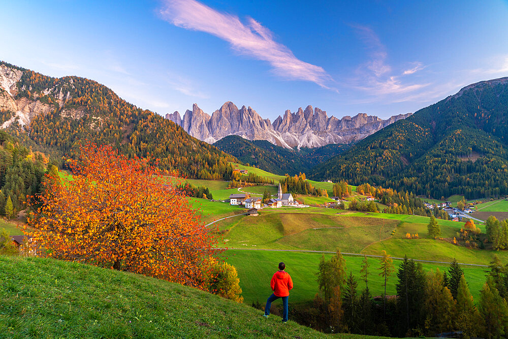 Rear view of man admiring the Odle peaks and little village of Santa Magdalena in autumn, Funes, Dolomites, South Tyrol, Italy, Europe