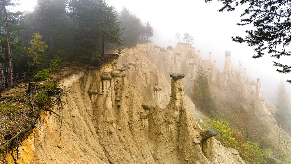 Earth Pyramids and woods in the autumn mist, Perca (Percha), province of Bolzano, South Tyrol, Italy, Europe