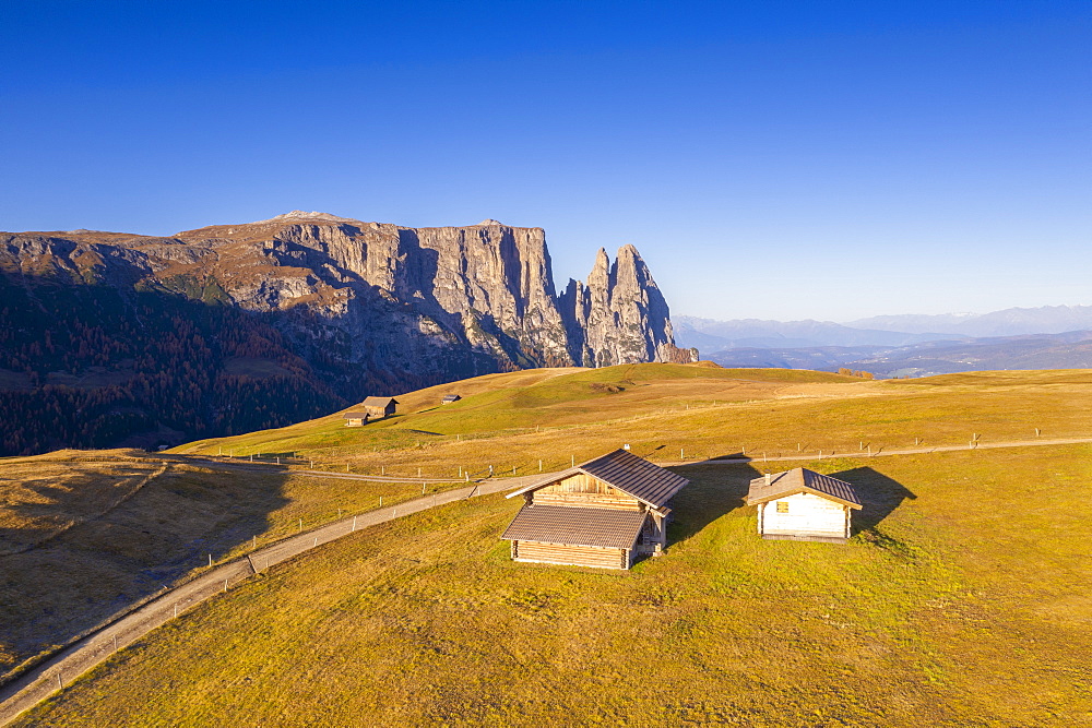 Aerial view by drone of sunrise on Alpe di Siusi (Seiser Alm) and Sciliar peaks in autumn, Dolomites, South Tyrol, Italy, Europe