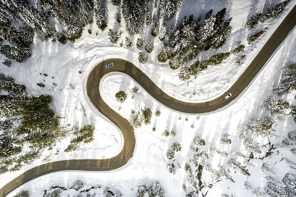 View by drone of scenic winding road connecting Antorno and Misurina along snowy woods, Dolomites, Belluno province, Veneto, Italy, Europe