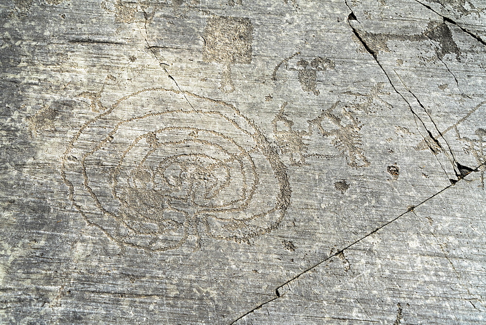 Rupestrian engravings depicting labyrinth and warriors, Naquane National Park, Capo di Ponte, Valcamonica (Val Camonica), Brescia province, Lombardy, Italy, Europe