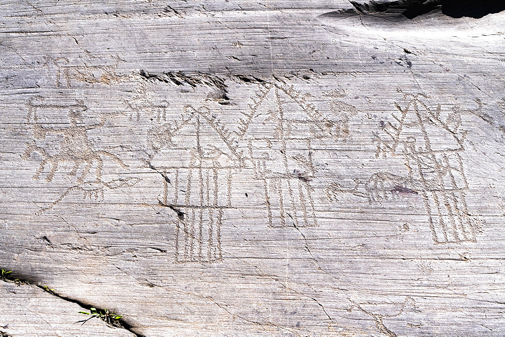 Camunian village with hut and barns or pantries engraved on rock 35, Naquane National Park, Valcamonica (Val Camonica), Lombardy, Italy, Europe