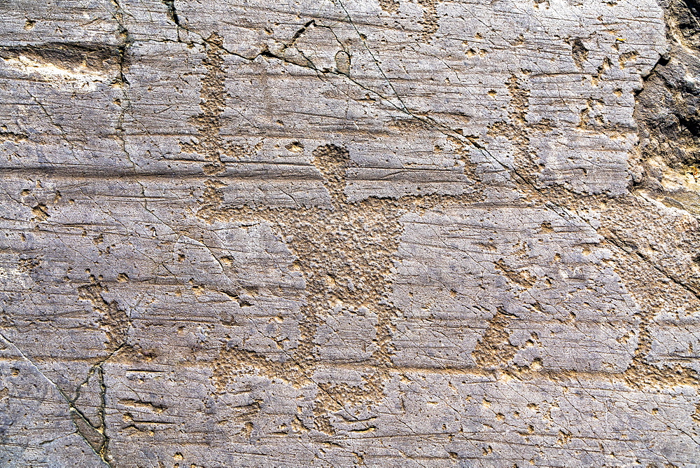 Petroglyphs (Rupestrian engravings) of warrior with spear, Naquane Park, Capo di Ponte, Valcamonica (Val Camonica), Lombardy, Italy, Europe