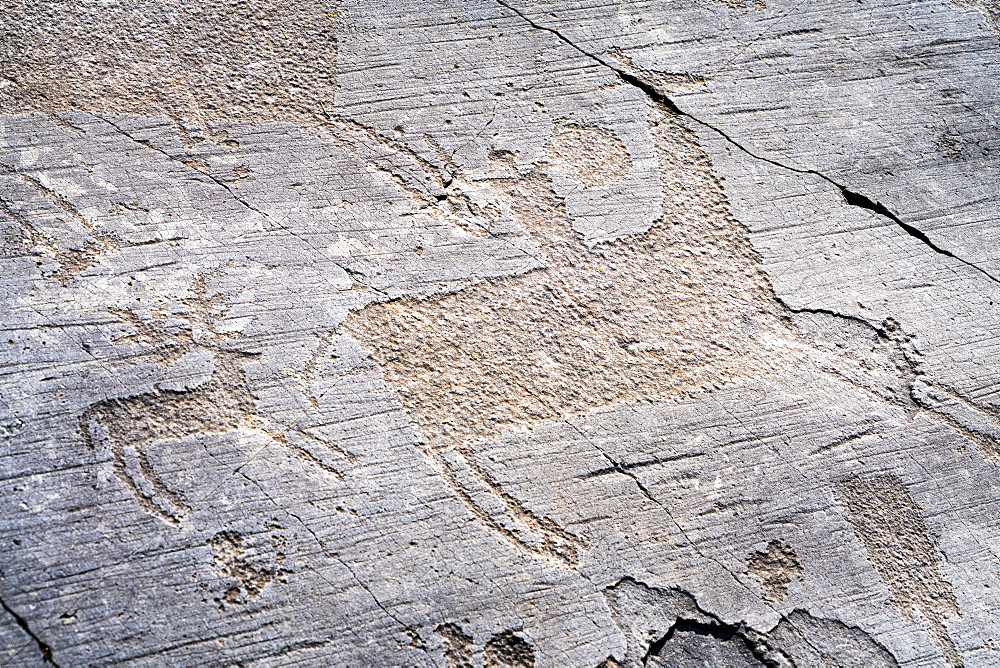 Rupestrian engravings depicting knight hunting a deer, Naquane National Park, Capo di Ponte, Valcamonica (Val Camonica), Brescia province, Lombardy, Italy, Europe