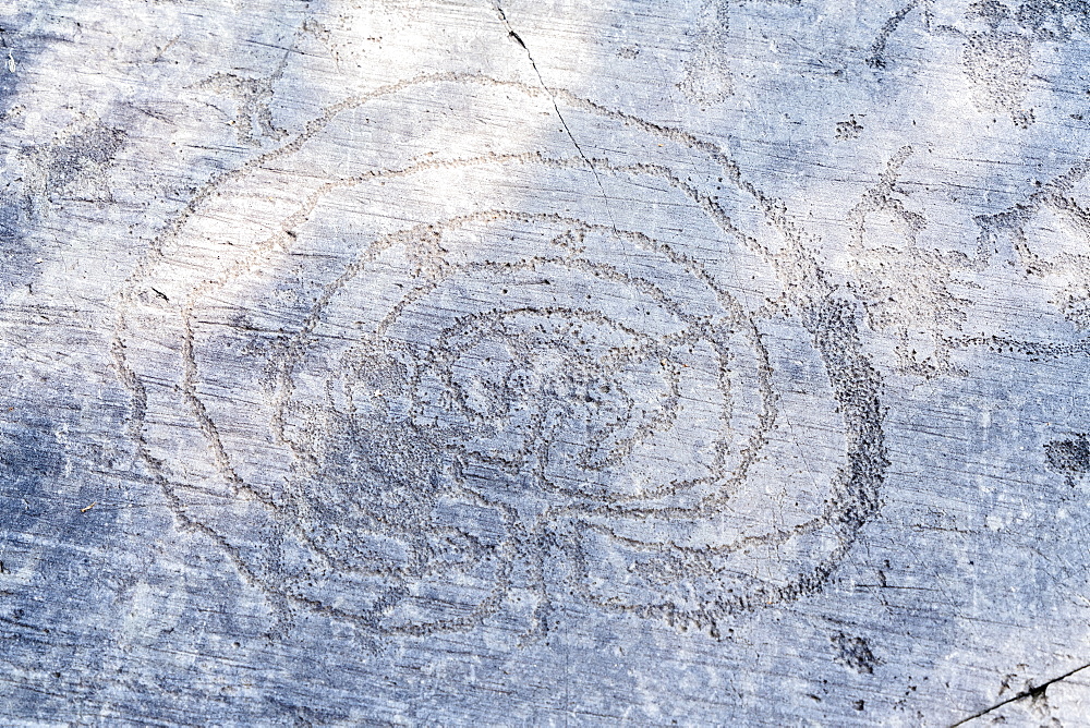 The labyrinth theme carved on majestic Rock 1, Naquane National Park of Rupestrian Engravings, Valcamonica (Val Camonica), Brescia province, Lombardy, Italy, Europe