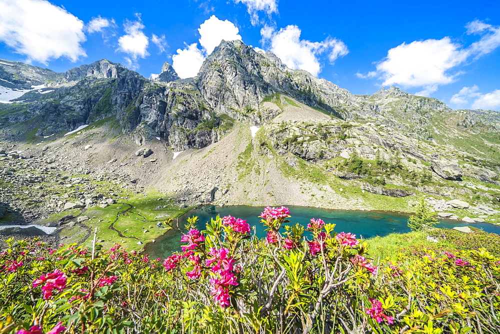 Summer sky over mountain peaks and rhododendrons framing lake Zancone, Orobie Alps, Valgerola, Valtellina, Lombardy, Italy, Europe