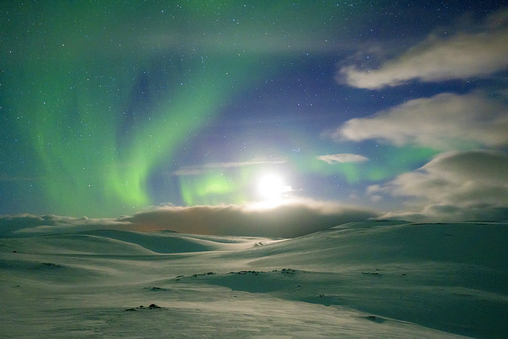 Snowy landscape lit by moon in the starry sky during the Northern Lights (Aurora Borealis), Skarsvag, Nordkapp, Troms og Finnmark, Norway, Scandinavia, Europe