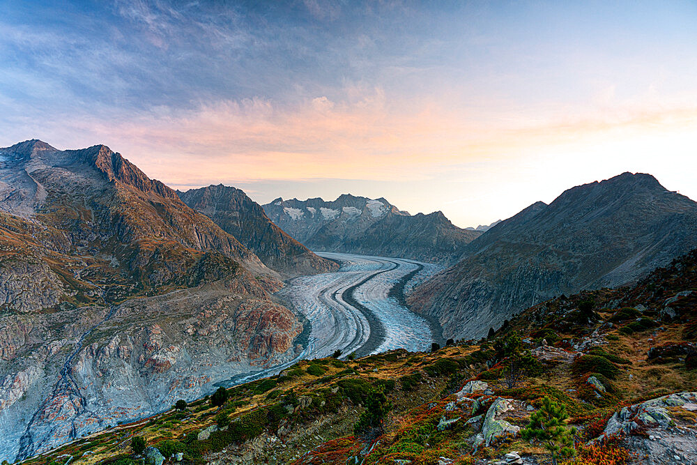 Aletsch Glacier at sunrise seen from Hohfluh viewpoint, Bernese Alps, Riederalp, Raron district, Valais Canton, Switzerland, Europe