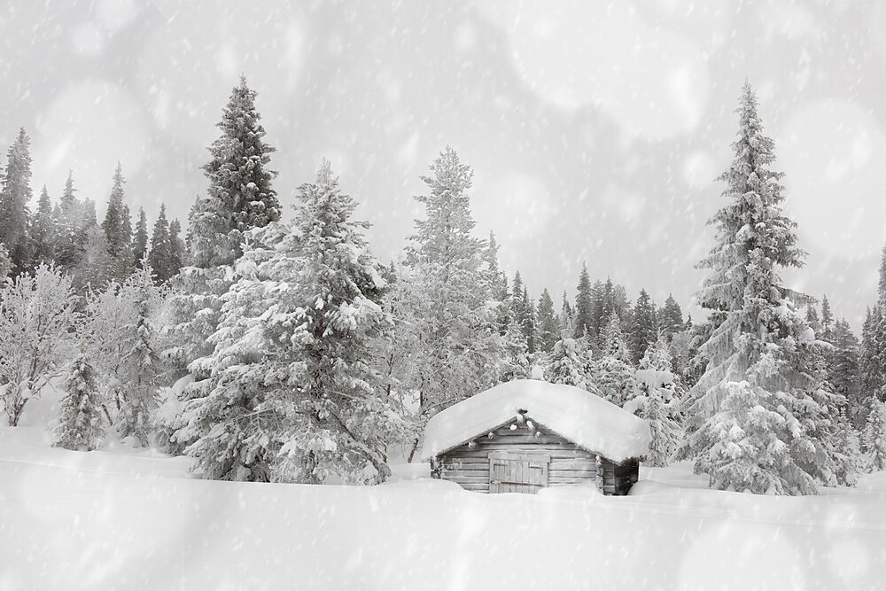 Snowflakes falling on traditional wooden hut in the snow capped forest, Lapland, Finland, Europe