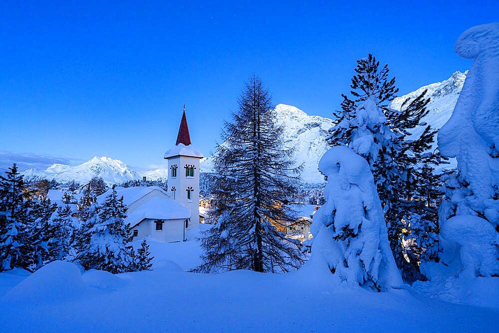 Chiesa Bianca and trees covered with snow at dusk, Maloja, Bregaglia, Engadine, Graubunden Canton, Switzerland, Europe