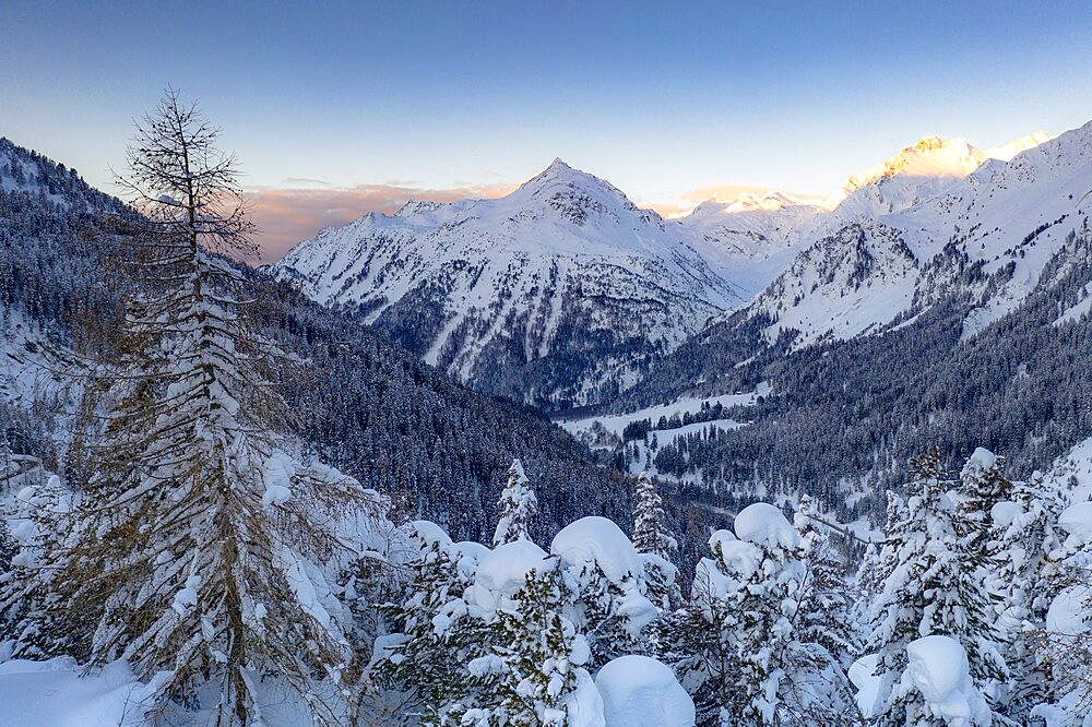 Winter forest covered with snow with peaks of Bregaglia Valley on background, Maloja, Engadine, Graubunden Canton, Switzerland, Europe