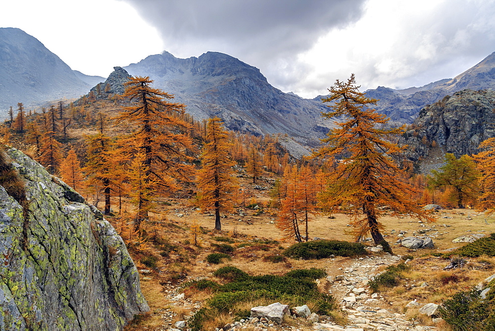 Autumn landscape at the Natural Park of Mont Avic, Aosta Valley, Graian Alps, Italy, Europe