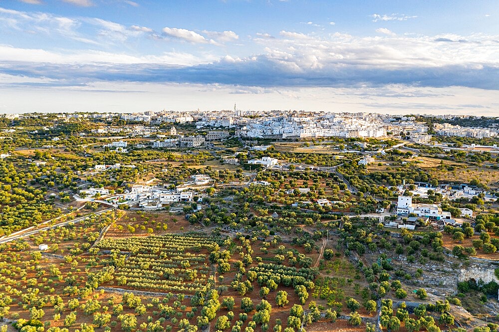 Aerial view of Ostuni old town surrounded by olive groves, province of Brindisi, Salento, Apulia, Italy, Europe