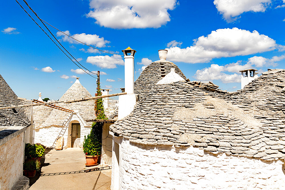 Traditional whitewashed Trulli houses, Alberobello, UNESCO World Heritage Site, province of Bari, Apulia, Italy, Europe