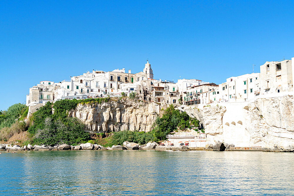 Whitewashed houses and San Francesco church on cliffs, Vieste, Foggia province, Gargano National Park, Apulia, Italy, Europe