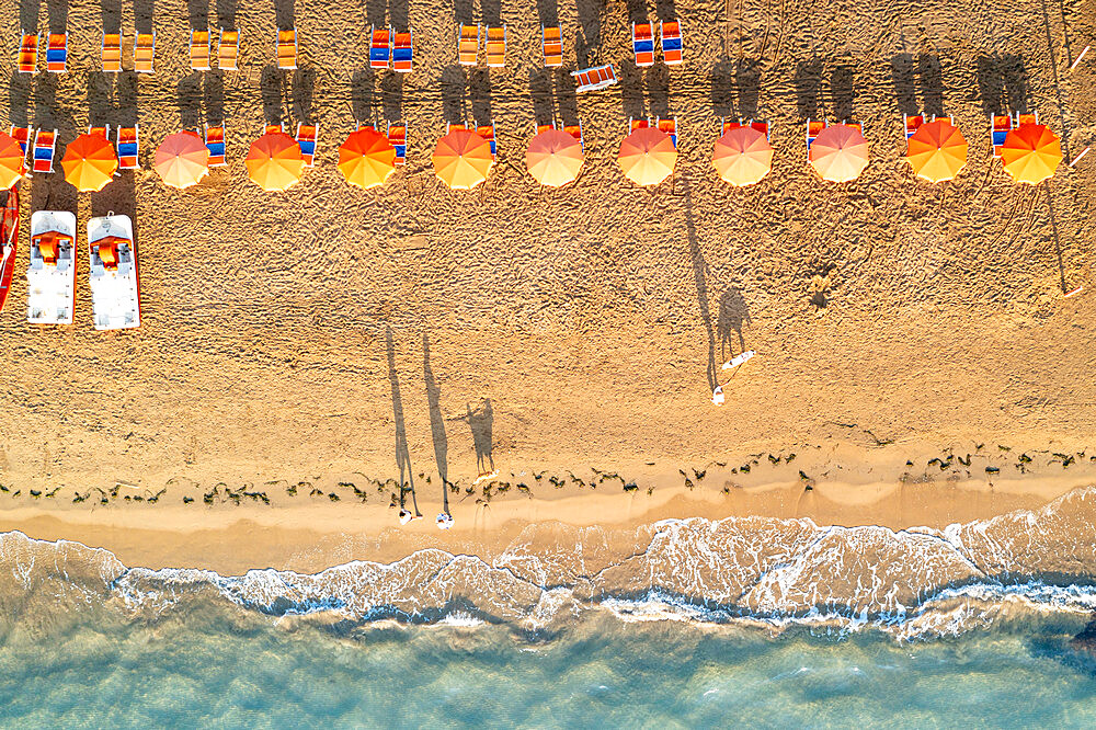 Aerial view of sunshades in a row on sand beach washed by the crystal sea, Vieste, Foggia province, Gargano, Apulia, Italy, Europe