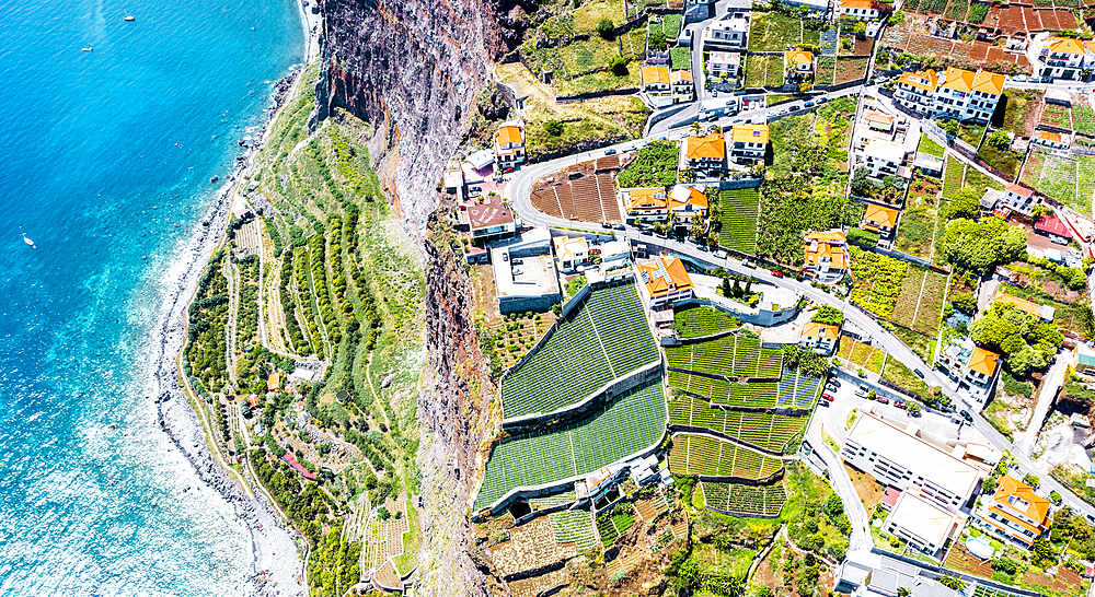 Terraced green fields by the turquoise ocean from above, Camara de Lobos, Madeira island, Portugal, Atlantic, Europe