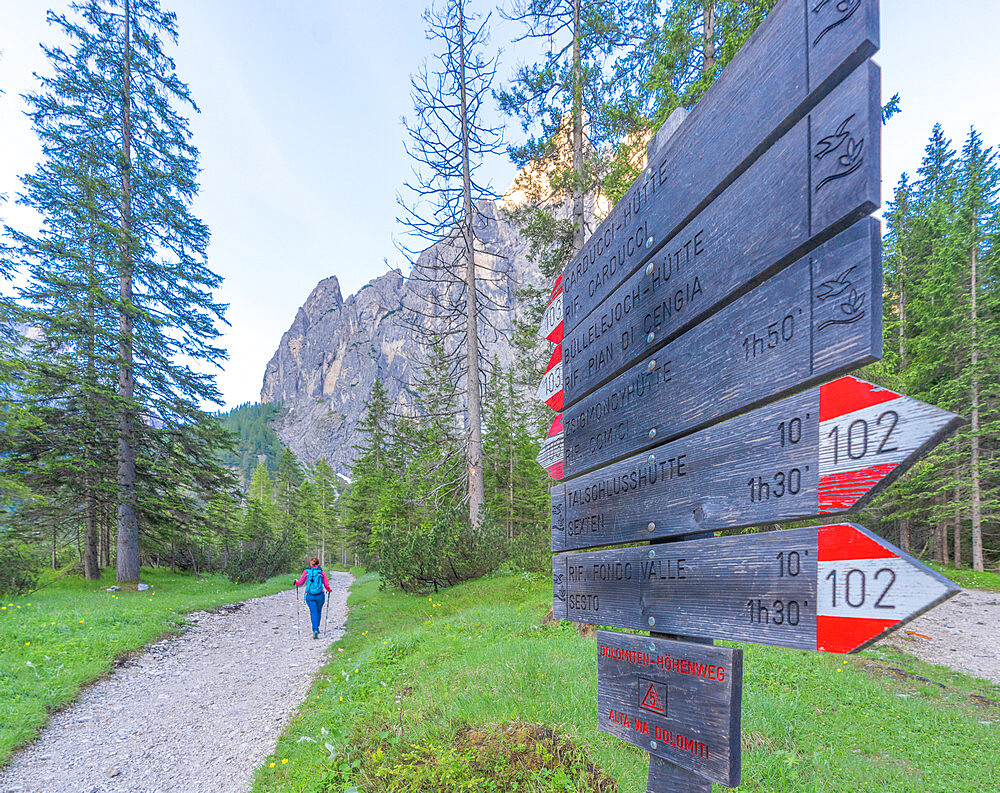 Hiking signage along footpath to Rifugio Zsigmondy Comici hut, Val Fiscalina, Sesto/Sexten Dolomites, South Tyrol, Italy, Europe