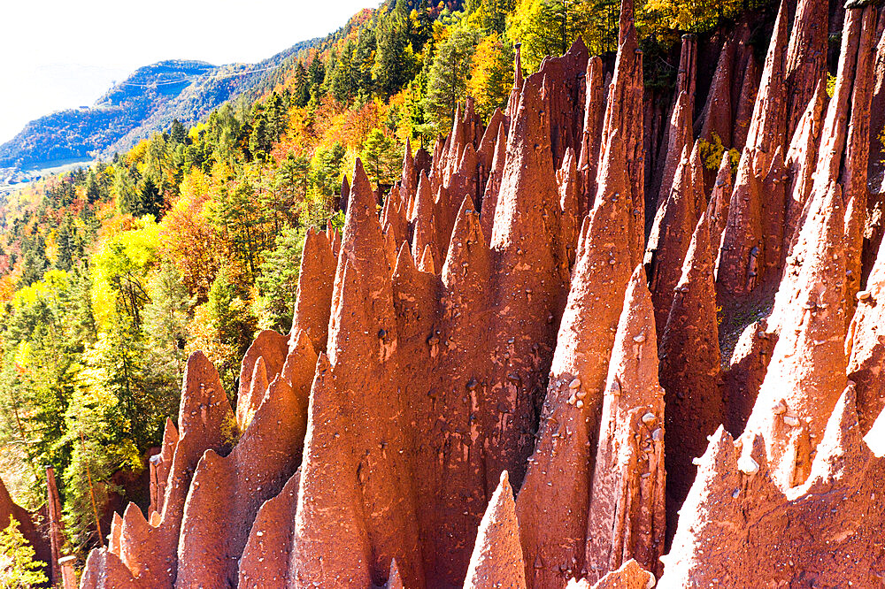 Spiked rocks of the earth pyramids in autumn, Longomoso, Renon (Ritten), Bolzano, South Tyrol, Italy, Europe