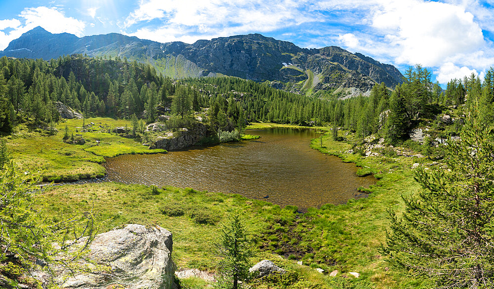 Mufule lake framed by green forest and mountains in summer, Valmalenco, Valtellina, Sondrio province, Lombardy, Italy, Europe