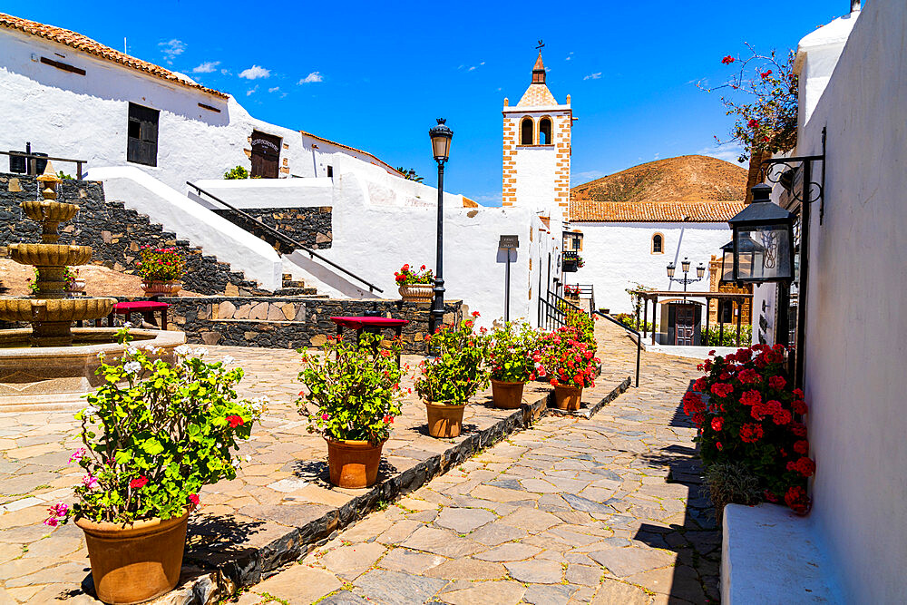 Colorful flowers framing Santa Maria cathedral church in the old town of Betancuria, Fuerteventura, Canary Islands, Spain, Atlantic, Europe