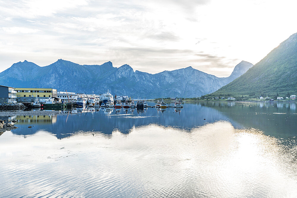 Fishing boats moored in the harbor of Senjahopen along Mefjord at dawn, Senja, Troms county, Norway, Scandinavia, Europe