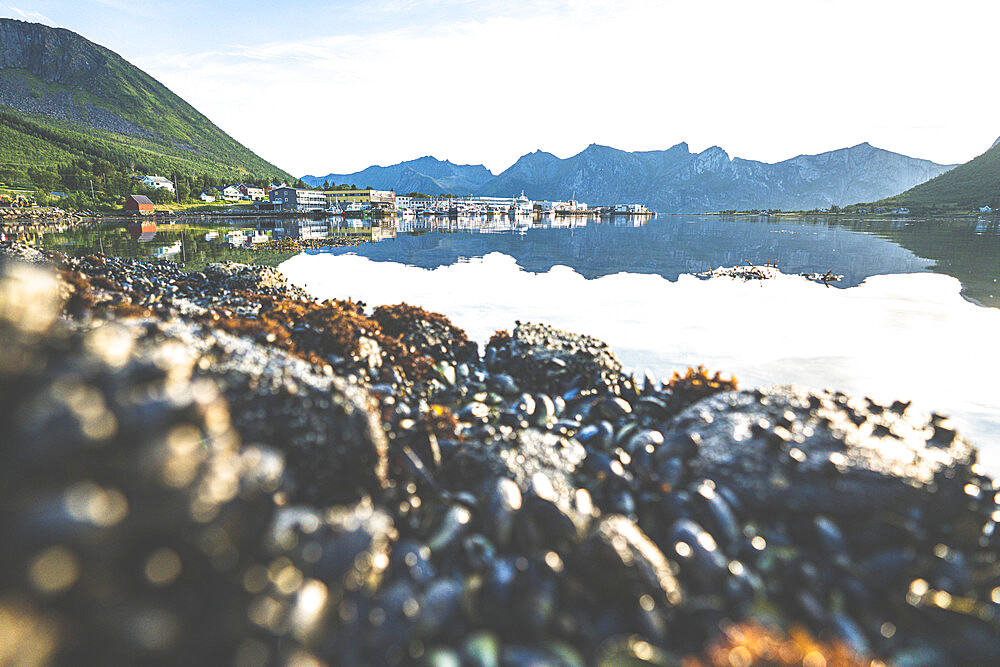 Small fishing harbor of Senjahopen lit by sunrise, Mefjord, Senja, Troms county, Norway, Scandinavia, Europe