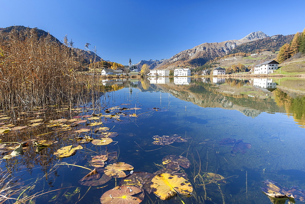 The little village of Tarasp in Low Engadine reflecting in a nearby pond, half covered in water lily leaves, Graubunden, Switzerland, Europe