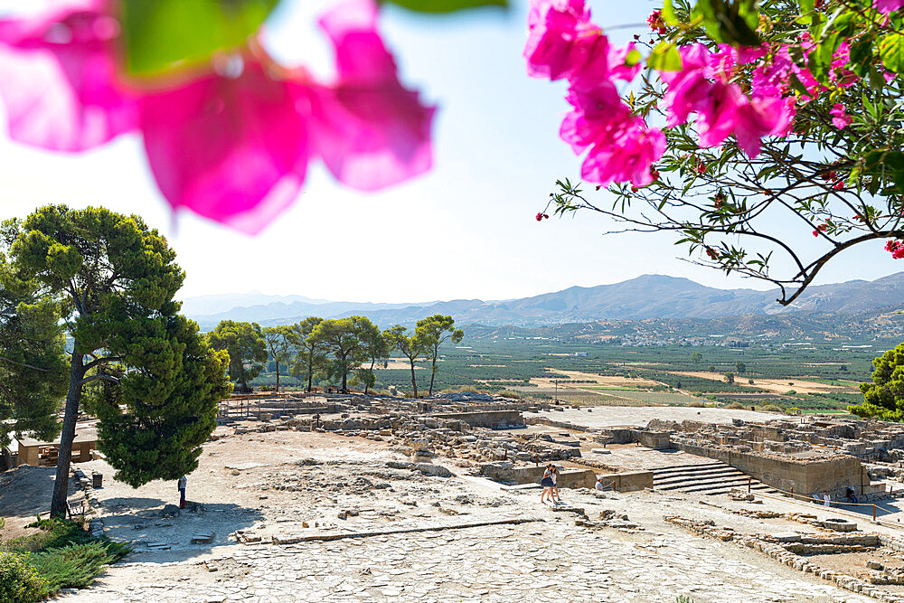 Flowers frame the old ruins of the Minoan Palace of Phaistos, Bronze Age archaeological site in Crete island, Greek Islands, Greece, Europe