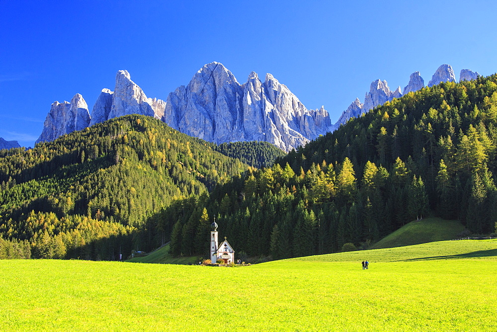 Church of Ranui surrounded by green meadows in autumn, St. Magdalena, Funes Valley, South Tyrol, Dolomites, Italy, Europe