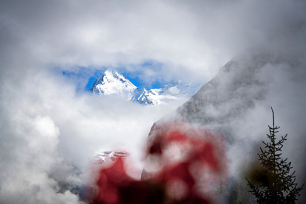 Majestic Eiger peak covered with snow in dense fog, Murren, Jungfrau Region, Bernese Oberland, Bern Canton, Swiss Alps, Switzerland, Europe