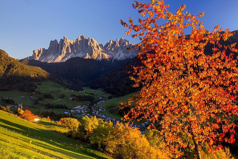 Colorful autumn trees frame the group of Odle and the village of St. Magdalena, Funes Valley, South Tyrol, Dolomites, Italy, Europe