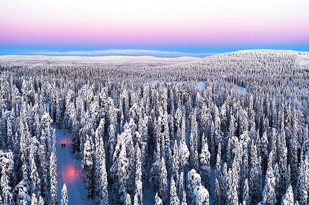 Aerial view of two hikers walking in the snowcapped forest at dawn, Iso-Syote, Lapland, Finland, Europe