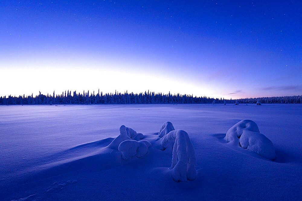 Arctic dusk lights over the frozen land covered with snow in winter, Lapland, Finland, Europe