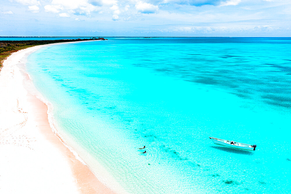 Mother and son swimming in the crystal sea next to a pink sand beach, aerial view, Barbuda, Antigua and Barbuda, West Indies, Caribbean, Central America