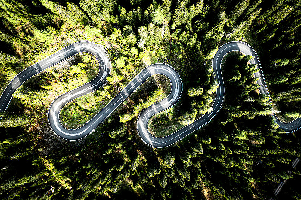 Overhead aerial view of hairpin bends of scenic mountain road crossing a green forest, Giau Pass, Dolomites, Veneto, Italy, Europe