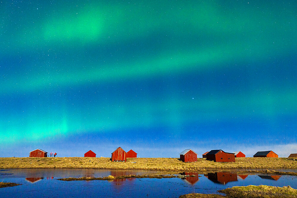 Aurora Borealis (Northern Lights) in the starry night sky over fishermen's huts, Eggum, Vestvagoy, Nordland, Lofoten Islands, Norway, Scandinavia, Europe