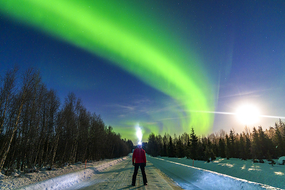 Hiker with flashlight admiring the starry sky with Aurora Borealis (Northern Lights) standing in the middle of an empty snowy road, Levi, Kittila, Lapland, Finland, Europe