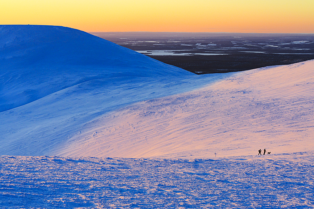 Two hikers and dog enjoying snowshoeing in snowy landscape at sunset, Pallas-Yllastunturi National Park, Muonio, Lapland, Finland, Europe